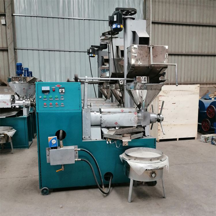 Screw Oil Press Machine