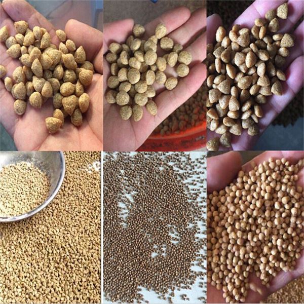 fish feed pellet processing extruder fish feed pellet processing extruder