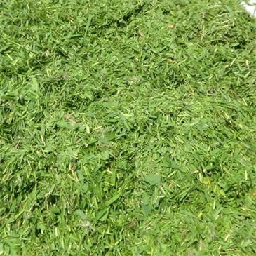 product-365-365 500-kg-chopping-feed-processing-machine