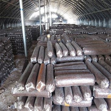 mushroom-cultivation-bag-filling-machine