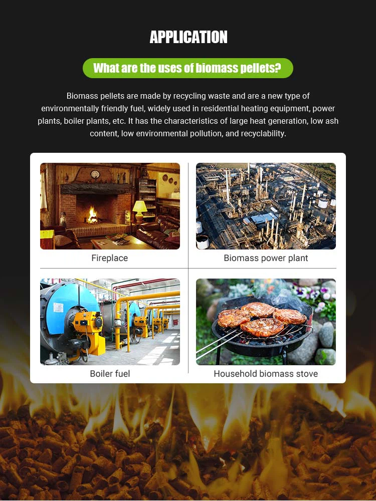 product-750-1000 product-750-1000