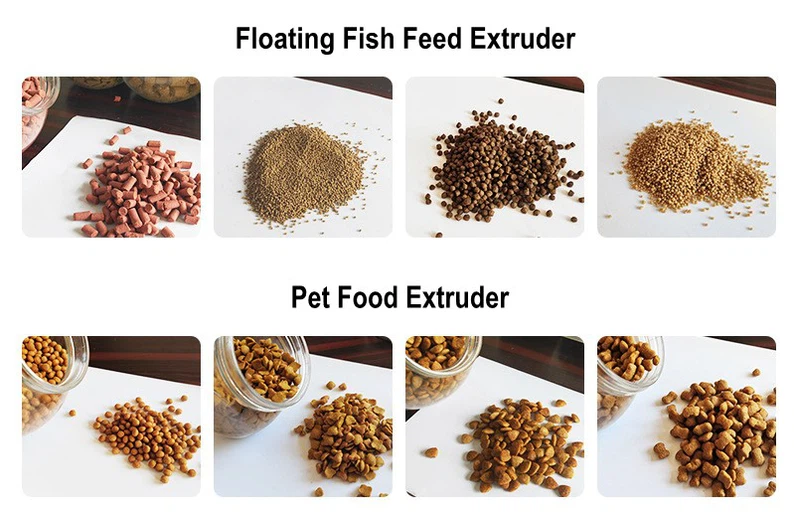 fish feed production fish feed production