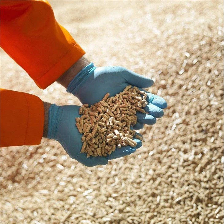 Electric pellet mill (3)