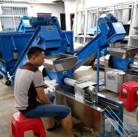 mushroom bagging plant (2)