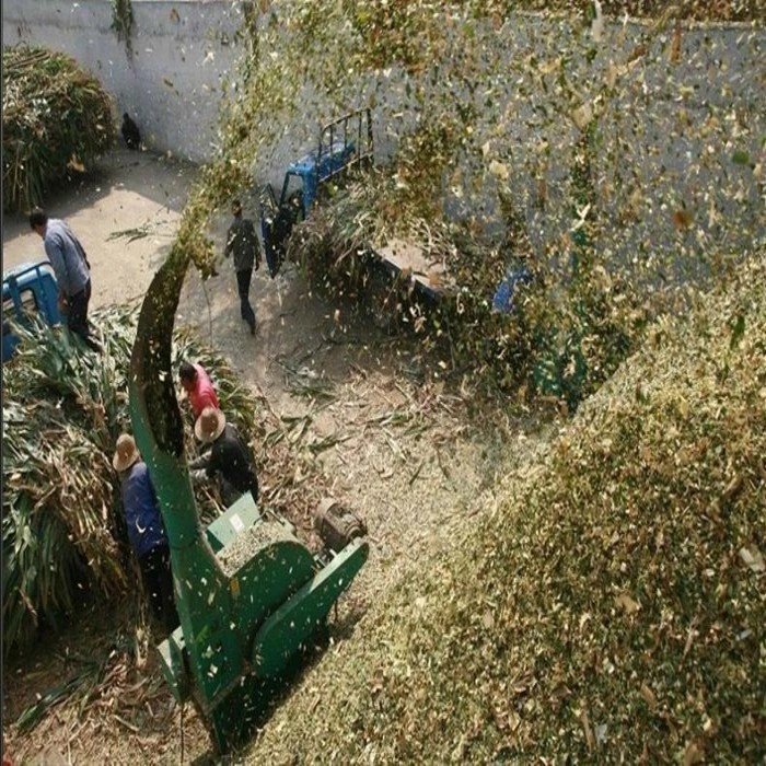 silage cutter (2)