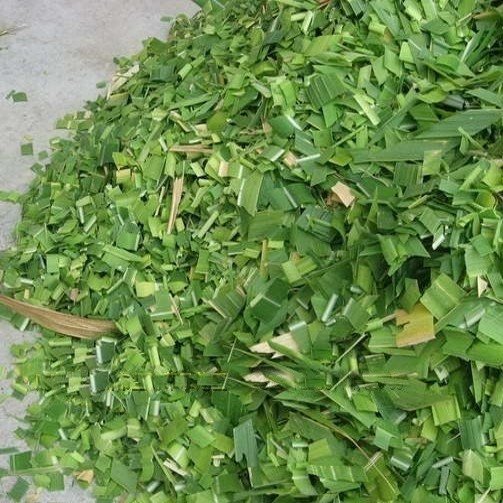 silage cutter (4)