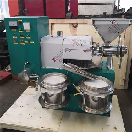 Professional Sacha Inchi Oil Extraction