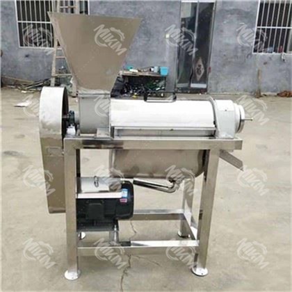 Large Fruit And Vegetable Juicer