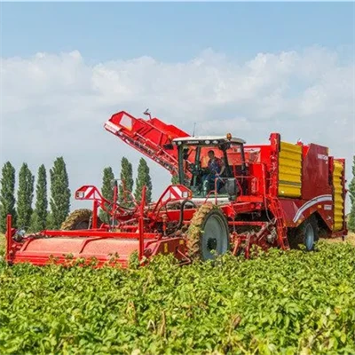 Sweet Potato Picker